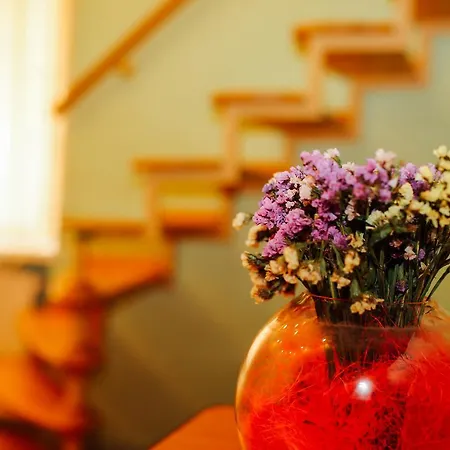 площа князя святослава 3 Apartment *